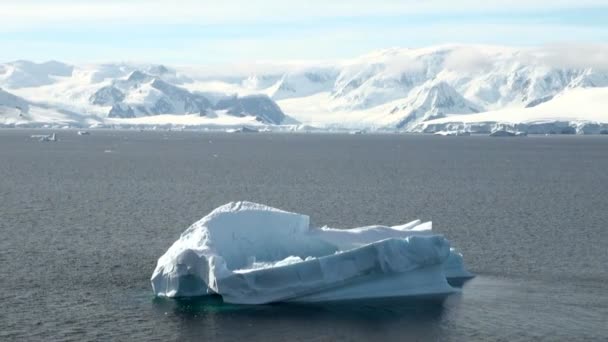 Крейсерських Антарктиді - казка краєвид — стокове відео