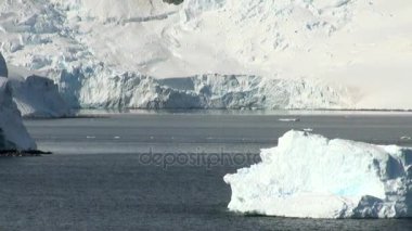 -Küresel ısınma - Antarktika buz oluşumları sahil şeridi