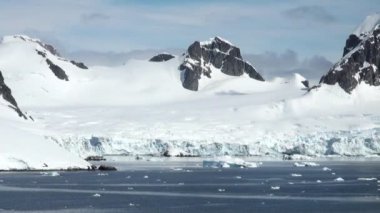 -Küresel ısınma - Antarktika buz oluşumları sahil şeridi