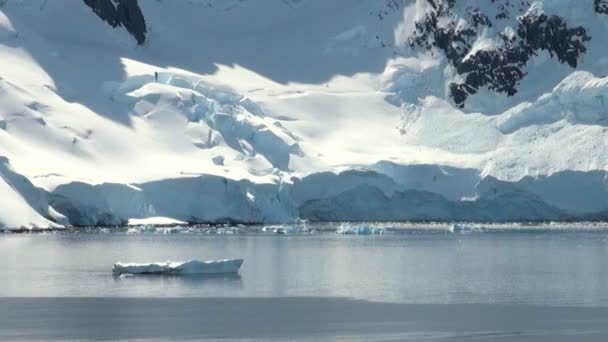 Línea costera de la Antártida - Calentamiento global - Formaciones de hielo — Vídeo de stock