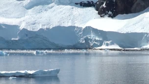 Kustlijn van Antarctica - Global Warming - ijs formaties — Stockvideo