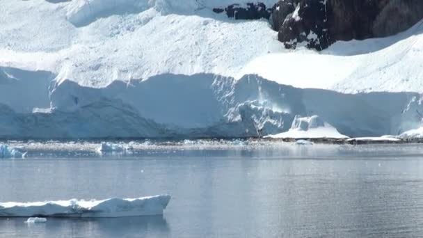 Línea costera de la Antártida - Calentamiento global - Formaciones de hielo — Vídeo de stock