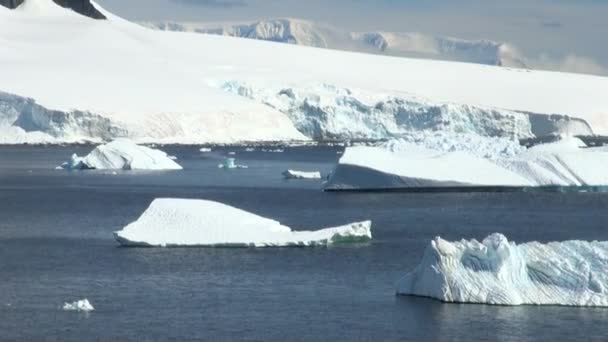 Línea costera de la Antártida - Calentamiento global - Formaciones de hielo — Vídeo de stock