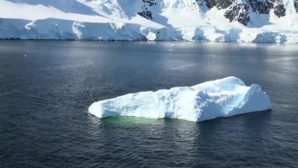 Línea costera de la Antártida - Calentamiento global - Formaciones de hielo — Vídeo de stock