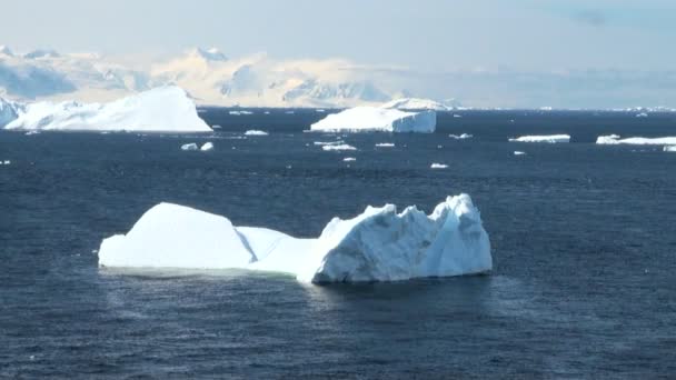 Línea costera de la Antártida - Calentamiento global - Formaciones de hielo — Vídeo de stock