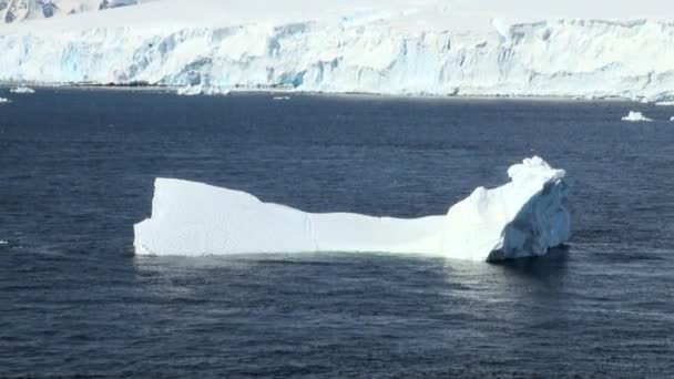 Wybrzeża Antarktydy - globalne ocieplenie - lód formacji — Wideo stockowe