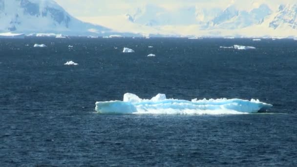 Línea costera de la Antártida - Calentamiento global - Formaciones de hielo — Vídeo de stock