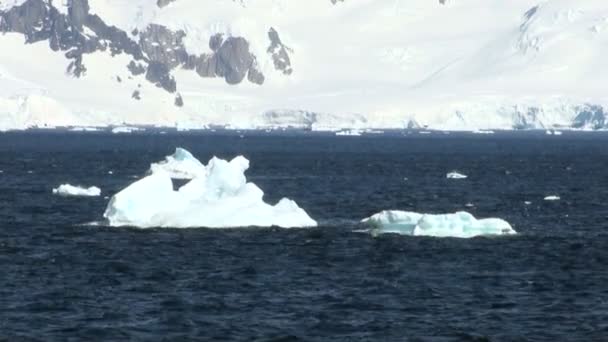 -Küresel ısınma - Antarktika buz oluşumları sahil şeridi — Stok video