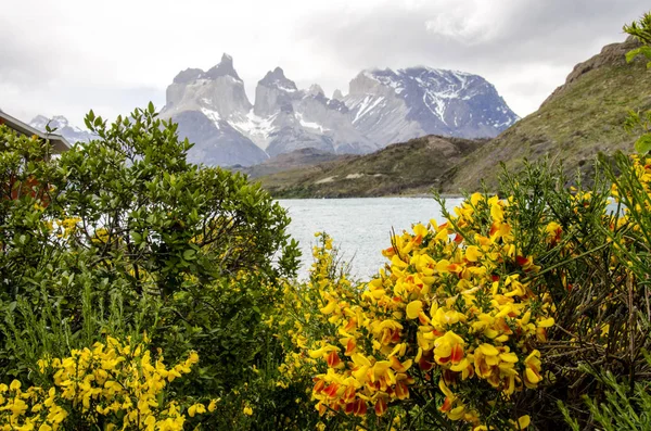 Parque Nacional Torres del Paine Fotos de stock libres de derechos