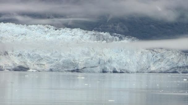 Buzul Körfezi Ulusal Parkı — Stok video