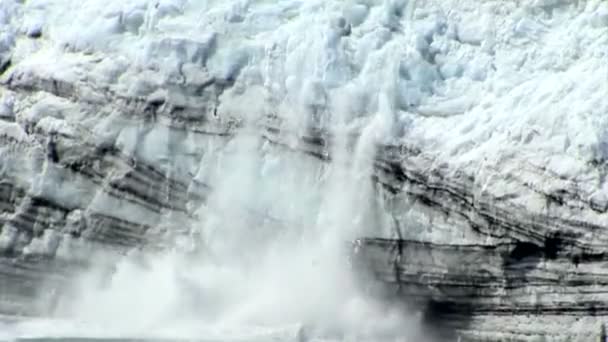 Gletsjerbaai nationaal park — Stockvideo