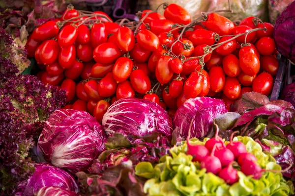 Légumes crus - tomates, radis, salade Images De Stock Libres De Droits
