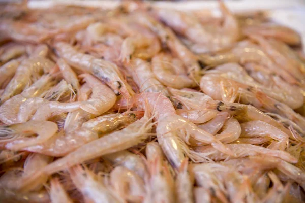 Свежие креветки - Sea Food on Sale — стоковое фото