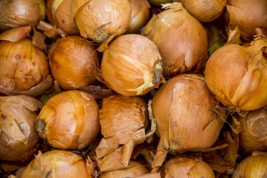 Sicilya İtalyan soğan