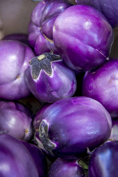 Eggplant Rosa Bianca — Stock Photo, Image