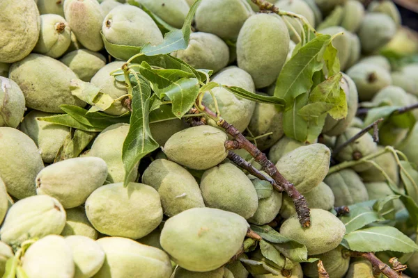 Grön mandel nötter — Stockfoto