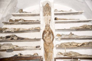 Capuchin Catacombs - Palermo clipart