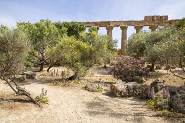 Hera Tapınağı - Agrigento - Sicilya