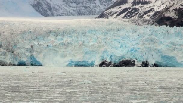 智利-amalia 冰川景观 — 图库视频影像