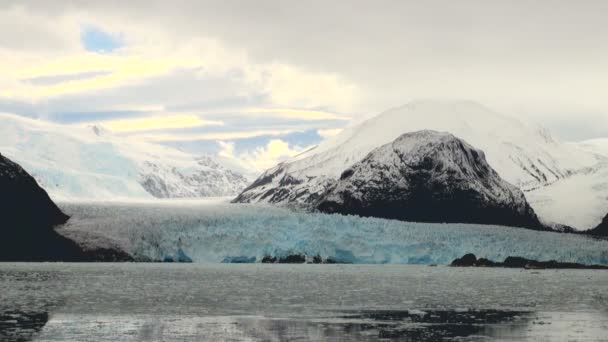 Chili - Paysage glaciaire d'Amalia — Video