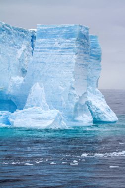 Bransfield sekmeli Buzdağı Antarktika - Antarktika Yarımadası-