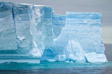 Antarctica - Antarctic Peninsula - Tabular Iceberg in Bransfield clipart