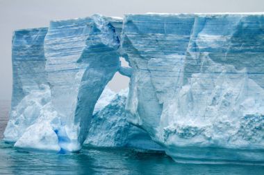 Bransfield sekmeli Buzdağı Antarktika - Antarktika Yarımadası-