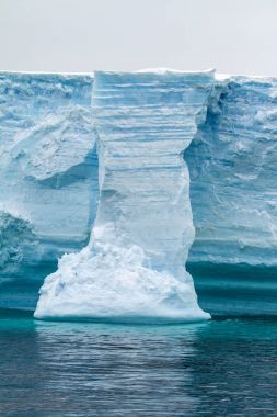 Bransfield sekmeli Buzdağı Antarktika - Antarktika Yarımadası-
