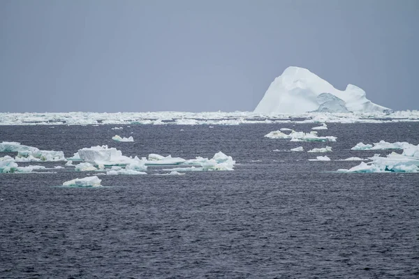 南极洲-浮冰-全球变暖 — 图库照片
