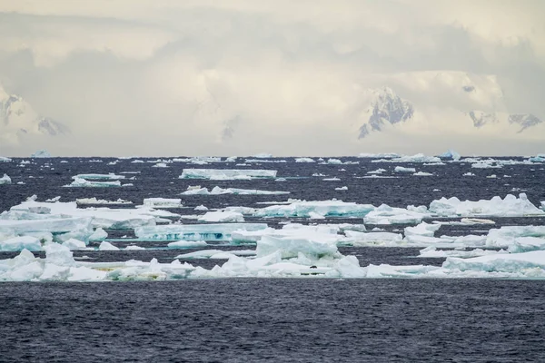 Antarctica - Floating Ice - Global Warming