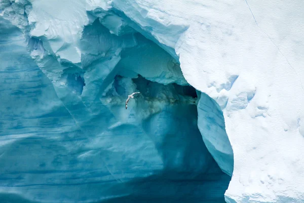 Tabelarycznych Iceberg antarktyda - Półwysep Antarktyczny - w Bransfielda — Zdjęcie stockowe