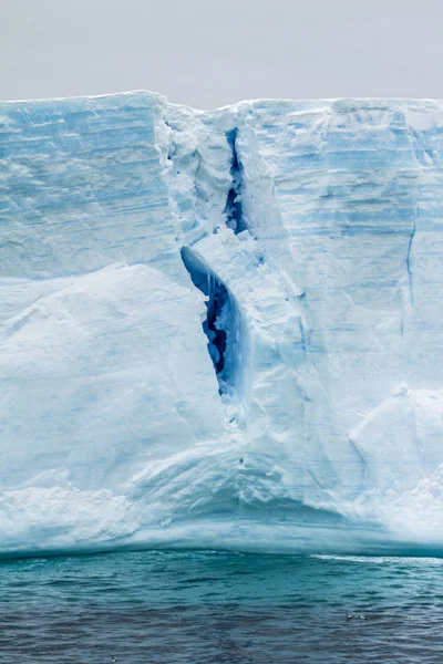 Bransfield の南極大陸 - 南極半島 - 表の氷山 — ストック写真