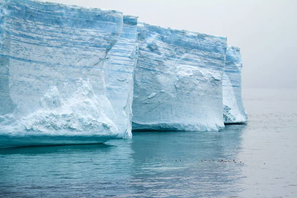 Antarktis - Antarktiska halvön - tabellform isberg i Bransfield — Stockfoto