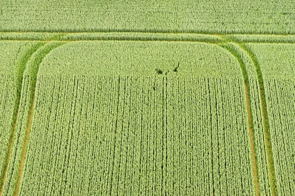 Buckinghamshire manzara havadan görünümü — Stok fotoğraf