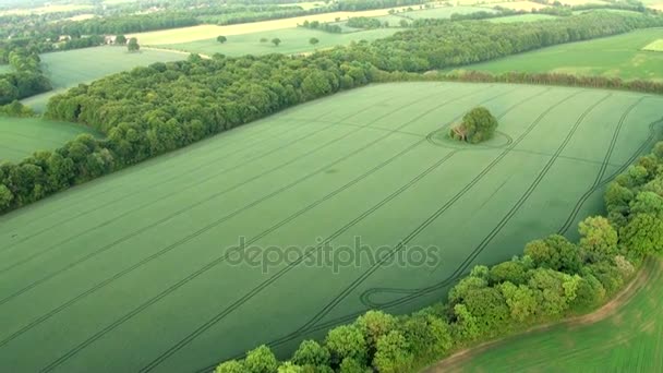 バッキンガムシャーの風景 空中空撮バッキンガムシャー風景 イギリス 熱い空気バルーン空中撮影のビュー — ストック動画