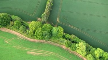 Havadan görünümü Buckinghamshire peyzaj / hava Buckinghamshire manzara - Birleşik Krallık - sıcak hava balon hava videografisi görünümünü