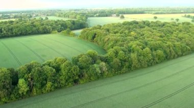 Havadan görünümü Buckinghamshire peyzaj / hava Buckinghamshire manzara - Birleşik Krallık - sıcak hava balon hava videografisi görünümünü