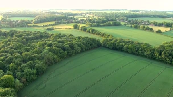 Vista Aérea Del Paisaje Buckinghamshire Vista Aérea Del Paisaje Buckinghamshire — Vídeo de stock