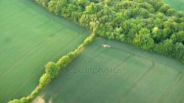 Letecký Pohled Buckinghamshire Krajiny Letecký Pohled Buckinghamshire Krajina Velká Británie — Stock video