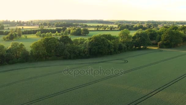 バッキンガムシャーの風景 空中空撮バッキンガムシャー風景 イギリス 熱い空気バルーン空中撮影のビュー — ストック動画