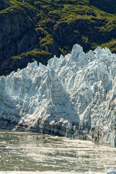 Parc national Glacier Bay — Photo