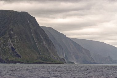 Molokai 'nin Deniz Kayalıkları - Hawaii