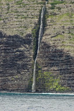 Molokai 'nin Deniz Kayalıkları - Hawaii
