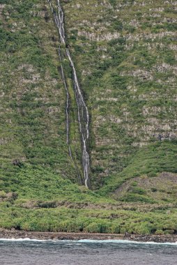 Molokai 'nin Deniz Kayalıkları - Hawaii