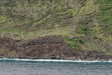 Molokai 'nin Deniz Kayalıkları - Hawaii