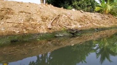 Damnoen Saduak Floating Market, Tayland 'ın başkenti Bangkok' un yaklaşık 100 kilometre güneybatısında bulunan Damnoen Saduak Bölgesi 'nde yüzen bir pazardır. 19 Ocak 2020