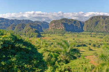 Vinales 'teki Hills manzara manzarası - Küba