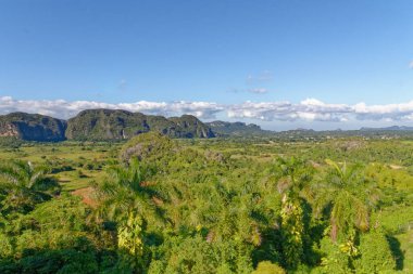 Vinales 'teki Hills manzara manzarası - Küba