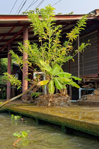 Damnoen saduak schwimmender Markt - Thailand — Stockfoto