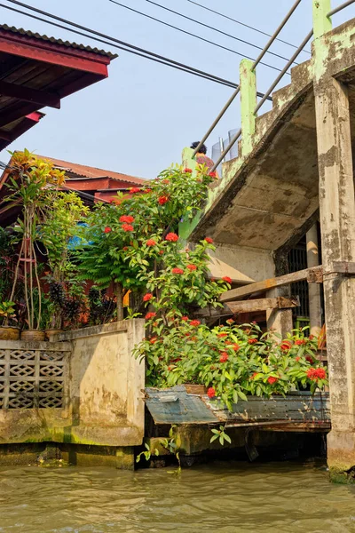 Marché flottant de Damnoen Saduak - Thaïlande — Photo